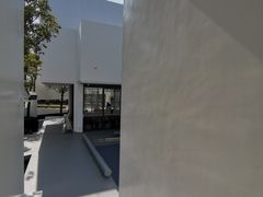 -紫马岭公园