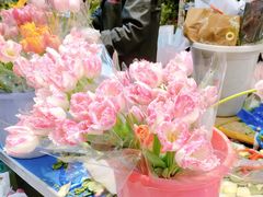 -循礼门鲜花花市(武汉循礼门店)