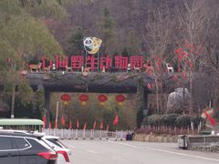 -栾川竹海野生动物园