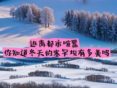 -塞罕坝国家级自然保护区