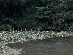 -黔灵山公园