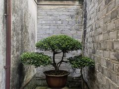 -天一阁博物院