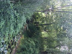 江湾湿地公园-新江湾城公园