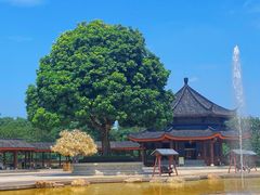 -广东圆玄道观
