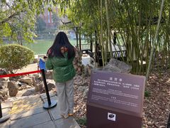 -包公祠
