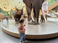 -陕西自然博物馆