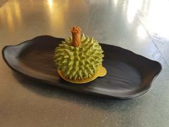 -都念榴莲·城市榴莲