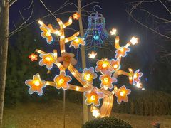 -南宫五洲植物乐园