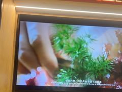 -阳阳中国饭(龙湖大兴天街)