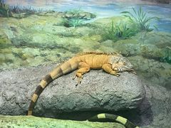 -福州罗源湾海洋世界旅游区