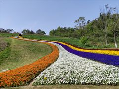 -黄龙溪欢乐田园