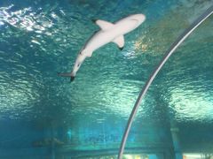 -北国之春国宴(乌兰察布店)