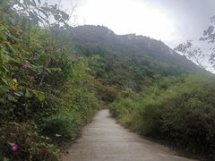 -府君山公园
