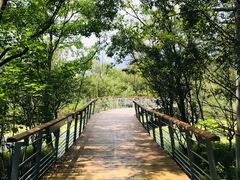 -西湖风景区-江洋畈生态公园