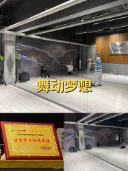 -欲非舞蹈