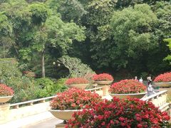 -云溪植物园