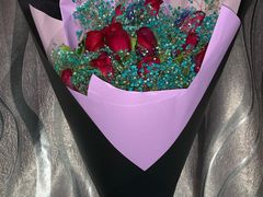 -金田水族花卉市场(银庄大厦店)