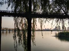 -艾溪湖湿地公园