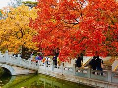 -香山公园