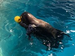 -杭州长乔极地海洋公园