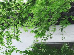 -苏州文旅花间堂·探花府酒店
