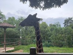 -福州动物园