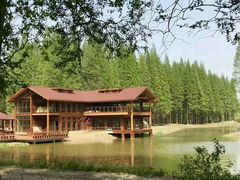 -黄海国家森林公园