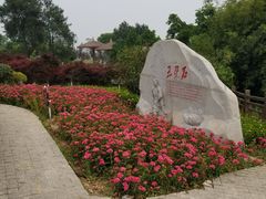 -铁山坪森林公园