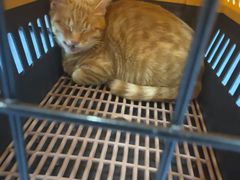 -博特宠物医院24h犬猫全科.骨科·异宠