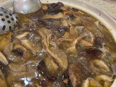 -杨记山珍鸡煲菌汤锅