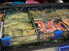 -揭阳钟记小食(福田新村店)