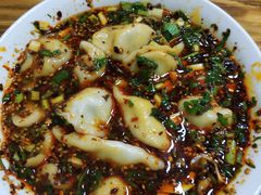 牛肉韭黄饺子-尤素福东举院饺子馆