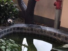 -兴芮温泉度假区