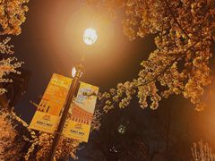 -睦南公园