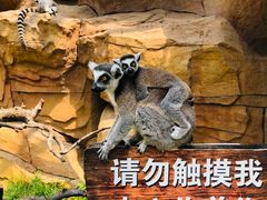 -北京野生动物园