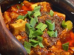 -陈麻婆豆腐(旗舰店)