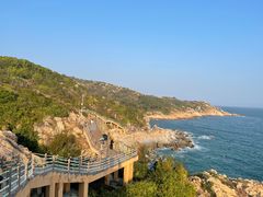-广东惠东海龟国家级自然保护区