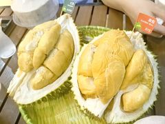 -榴莲BB 四季果园