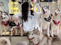 -Husky Go! 哈士奇体验馆·宠物咖啡厅狗咖