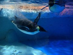 -成都浩海立方海洋公园