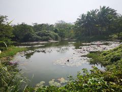 -白沙门生态公园