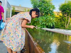 -盛邦家居建材广场