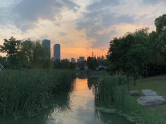 -尚贤河湿地