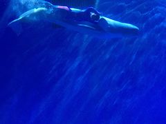 -芜湖新华联大白鲸海洋公园