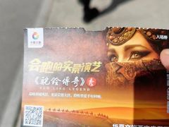 -《驼铃传奇》秀