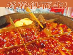 -厂花素芬九宫格火锅(益州大道店)