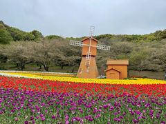 -苏州上方山国家森林公园