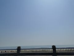 -合肥滨湖国家森林公园