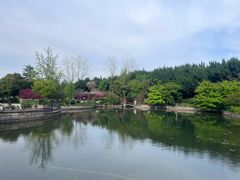 -嘉定紫藤园