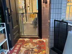 -有喵·猫咖·狗咖·30几只猫10只小狗(岗厦店)